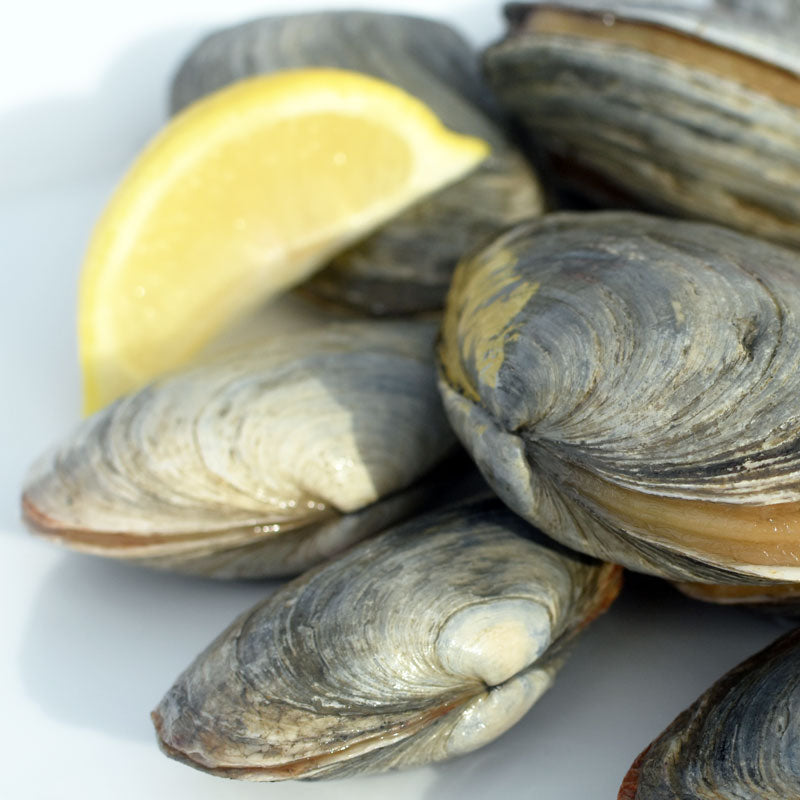 Steamers (Soft Shell Steamed Clams) Recipe