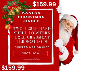 Holiday Special Santa's Christmas Jingle